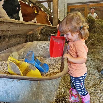 Die Kinder dürfen beim Füttern mithelfen