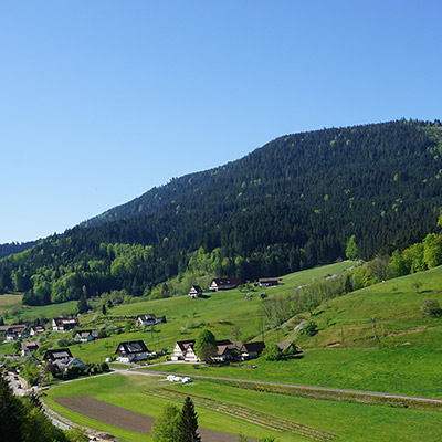 Blick zum Brujosenhof